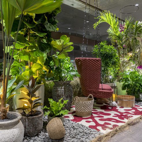 D_D_GardenDesign_RafaelRenzo-44-492x492