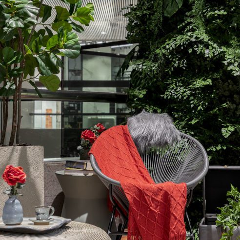 D_D_GardenDesign_RafaelRenzo-59-492x492