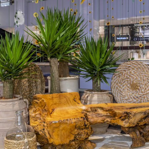 Luciano Zanardo | Foto: Rafael Renzo