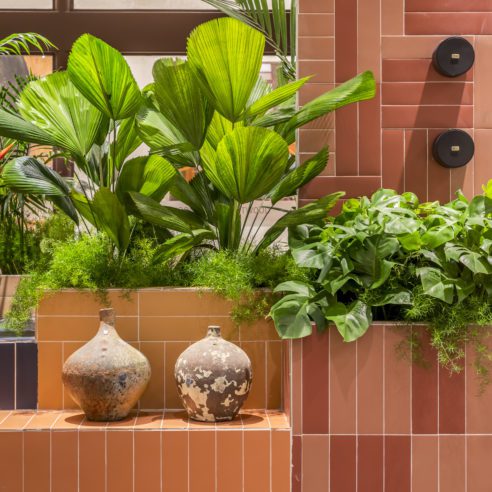 Ricardo Pessuto | Foto: Rafael Renzo