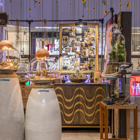 Roger Evangelista | Foto: Rafael Renzo