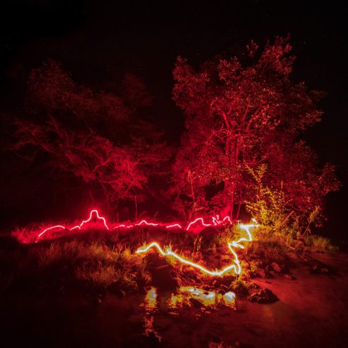 Imagem da exposição 'Amazônia por um Fio' de Flávio Sadalla com a colaboração do fotógrafo Cristian Dimitrius | Foto: Divulgação