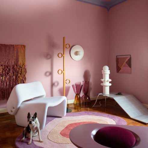 suvinil.revela.2021-8321-492x492