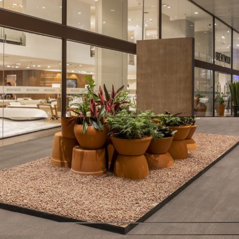 Ambiente - Clariça Lima