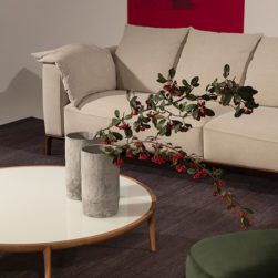 Coleção Indoor 2021