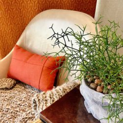 Produtos Empório Beraldin ambientados na loja da Gabriel Monteiro da Silva, 2878.