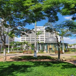 Portal de Tendências