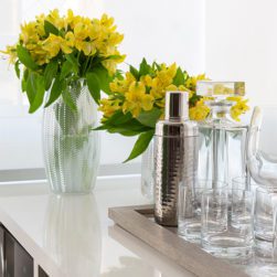 alta_felipeluciano_apto_campobelo-12