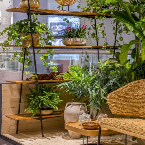 Marcilene Monzani | Foto: Rafael Renzo