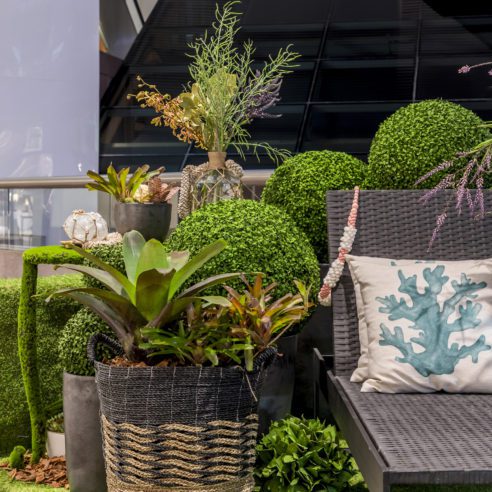 Pupy Zogaib | Foto: Rafael Renzo